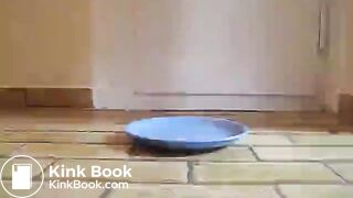 IFHMTEM0001, ScatKings.com Scat Porn 4 ScatKings.com Scat Porn